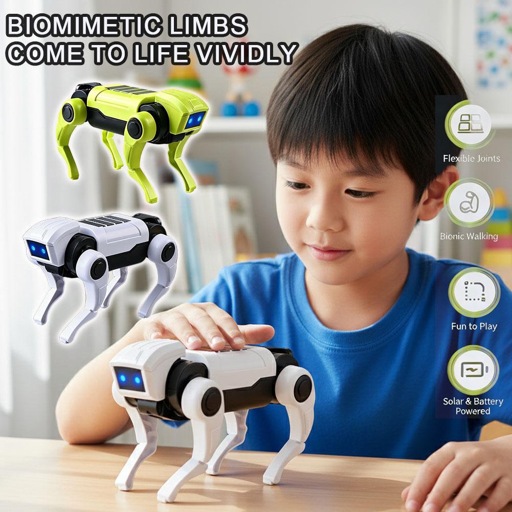 1-10 Stück DIY Montage RC Robo – Science Project Robot Bewertung und Preis